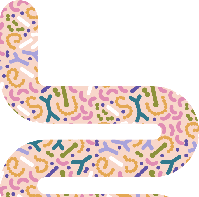 illustration of digestion